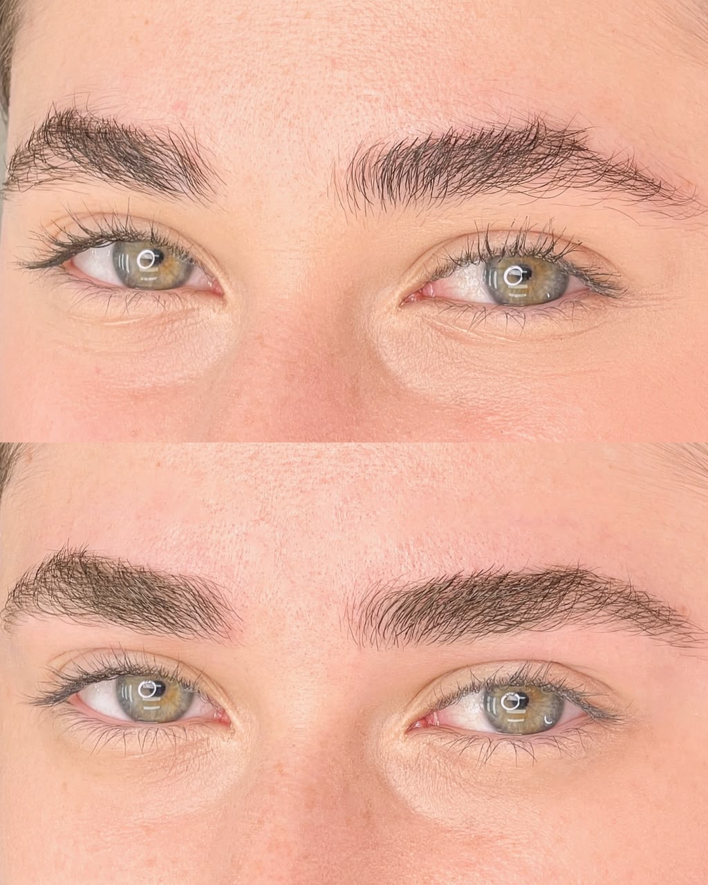 MP Harmony Brows